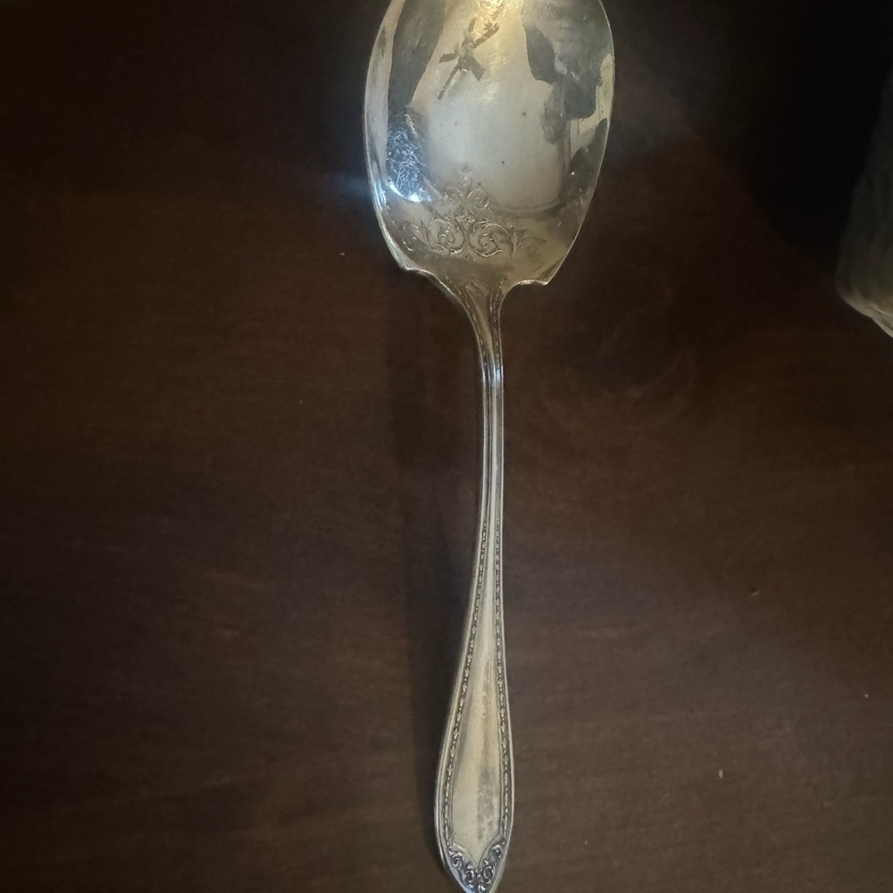 Elegant Community Silver 9” Serving Spoon